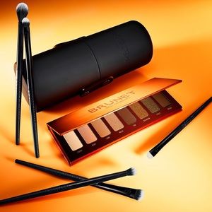 NIB✅Melt Cosmetics Brunet